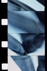 Chutes de Versailles 1989 on netflix