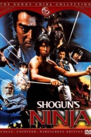 Shogun’s Ninja 1980 on netflix