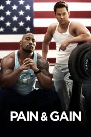 Pain & Gain 2013 on netflix