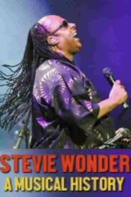 Stevie Wonder: A Musical History 2018 on netflix