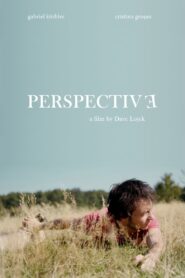 Perspective 2010 on netflix
