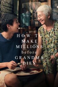 How to Make Millions Before Grandma Dies 2024 on netflix