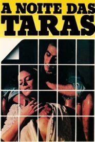 The Night at the Terrace 1980 on netflix