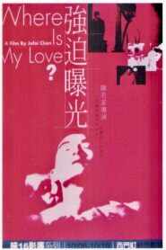Where Is My Love? 1996 on netflix