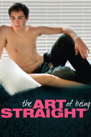 The Art of Being Straight 2009 on netflix