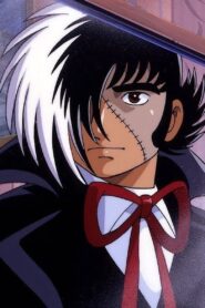 Black Jack: Capital Transfer to Heian 2000 on netflix