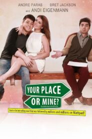Your Place or Mine? 2015 on netflix