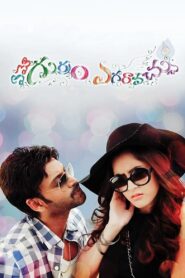 Emo Gurram Egaravachu 2014 on netflix