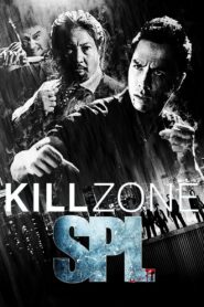 SPL: Kill Zone 2005 on netflix
