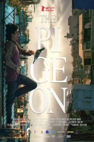 The Pigeon 2018 on netflix