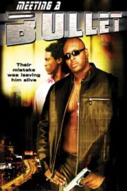 Meeting a Bullet 2004 on netflix