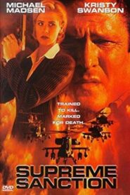 Supreme Sanction 1999 on netflix