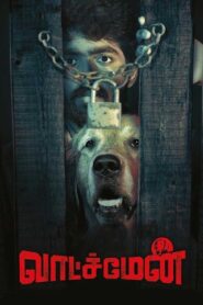 Watchman 2019 on netflix
