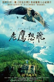 Fly, Kite Fly 2015 on netflix