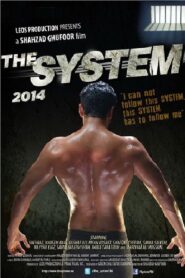 The System 2014 on netflix