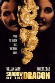 Shadow of the Dragon 1992 on netflix