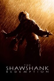 The Shawshank Redemption 1994 on netflix