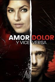 Love, Pain and Vice Versa 2008 on netflix