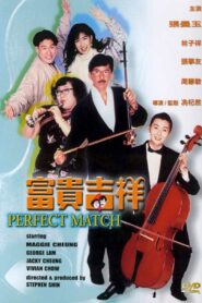 The Perfect Match 1991 on netflix