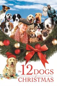 The 12 Dogs of Christmas 2005 on netflix