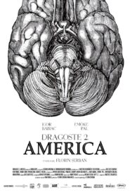 Love 2. America 2018 on netflix