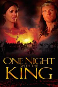 One Night with the King 2006 on netflix