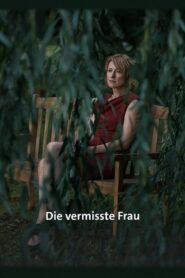 The Missing Woman 2016 on netflix