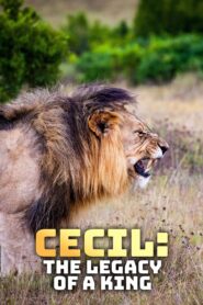 Cecil: The Legacy of a King 2020 on netflix