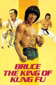 Bruce, King of Kung Fu 1980 on netflix