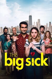 The Big Sick 2017 on netflix
