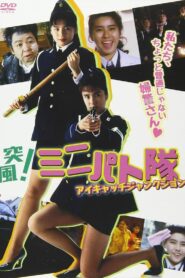 Eyecatch Junction 1991 on netflix