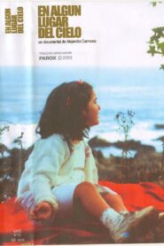En algún lugar del cielo 2003 on netflix