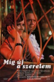 Míg új a szerelem 1983 on netflix