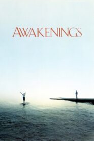 Awakenings 1990 on netflix