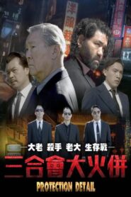 Protection Detail 2022 on netflix