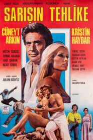Sarışın Tehlike 1980 on netflix