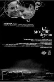 Les Moutons de Jacob 2005 on netflix