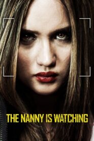 Nanny Surveillance 2018 on netflix