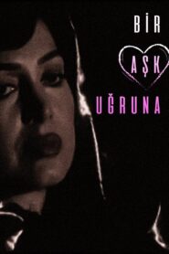 Bir Aşk Uğruna 1994 on netflix