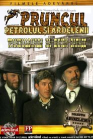 The Oil, the Baby and the Transylvanians 1981 on netflix