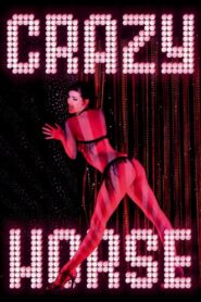 Crazy Horse 2011 on netflix