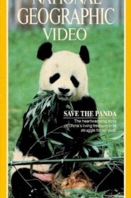 Save the Panda 1983 on netflix