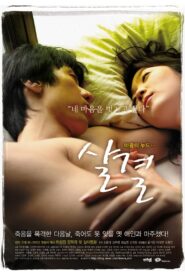 Texture of Skin 2007 on netflix