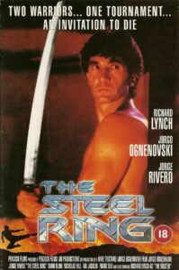 Warrior of Justice 1995 on netflix