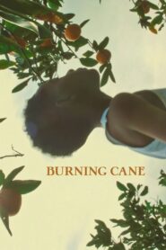 Burning Cane 2019 on netflix