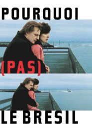 Why (Not) Brazil? 2004 on netflix