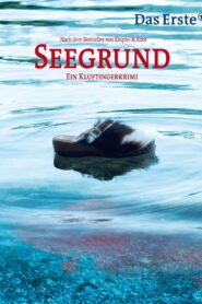 Seegrund. Ein Kluftingerkrimi 2013 on netflix