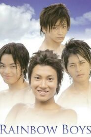 Rainbow Boys 2008 on netflix