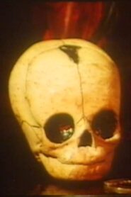 Moonchild 1984 on netflix