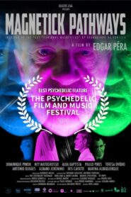 Magnetick Pathways 2019 on netflix